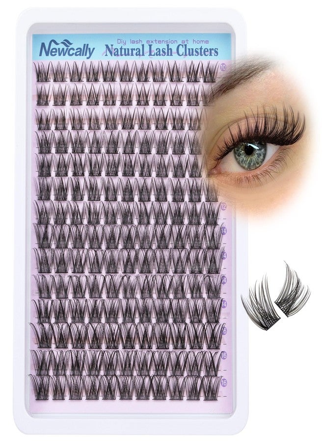 Newcally Cluster Lashes Wispy Natural Eyelash Clusters DIY Lash Extension C-curly Cluster Eyelash Extension 10-16MM Individual Lashes Thin Lash Band by Newcally - Image 1